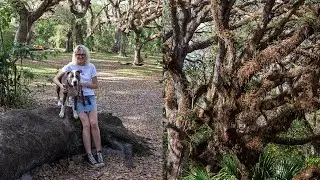 LIVE Best Undiscovered Marshland Park in Davie, Florida: Tree Tops Park