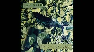 RAT BATH Spit//Swallow (single)