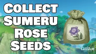 Collect Sumeru Rose Seeds Genshin Impact
