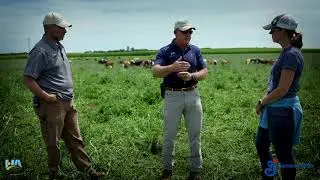 Economic Impact of Regenerative Agriculture on a Dairy Farm