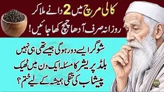 Quotes About life | Rumi Quotes in Urdu | Motivational Islamic Quotes | Golden Words | Hazrat Ali
