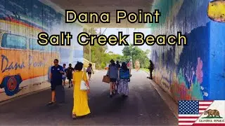 A WALK IN DANA POINT AT SALT CREEK BEACH 4K [ sunday ]