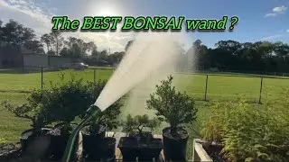Green mount watering wand review. Is this the best wand for bonsai ? #bonsai 
