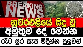 නුවරඑළියේ සිදු වු අමුතුම දේ මෙන්න | Sl point hub | #slpointhub #srilanka #news
