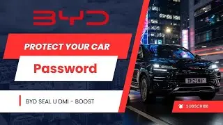 BYD Password Protection  How Your Car Stays Safe Even With Stolen Keys