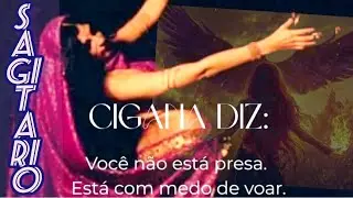 🔮♐ SAGITÁRIO 🌹🐝VAI VIVER À VIDA! 💕🛤️ #sagitario #tarot #signos 