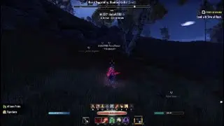 BEST STAMINA NIGHTBLADE 1VX - ESO BLACKWOOD