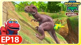 [GOGODINO EXPLORERS] EP18 El dinosaurio más fuerte, el Tiranosaurio | Dibujos Animados | Dinosaurios