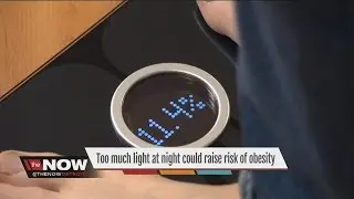 Light levels could affect obesity
