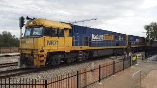 NR71 + NR43 #5MP5