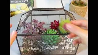 Diy glass house terrarium from Co-Arts