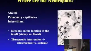 Aging and the Inflammatory Responses After Injury: Elizabeth J. Kovacs, Ph.D.