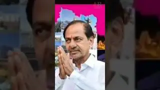 పెరుగల పెద్ద పార్టీ BRS | తెలంగాణ గుండె చప్పుడు | KCR Mass Political Song#kcr#brsparty#ktr#harishrao
