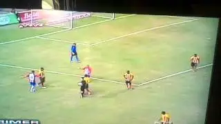owl getting kicked at a Soccer game