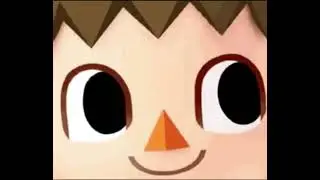 AC Villager found a technical issue