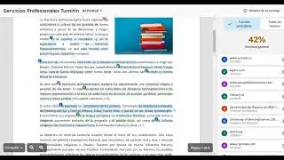 Interpretaci&oacute;n del Reporte de Similitud