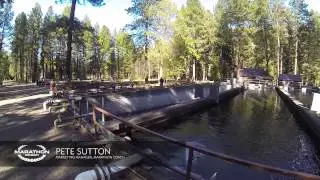 Wizard Falls Fish Hatchery