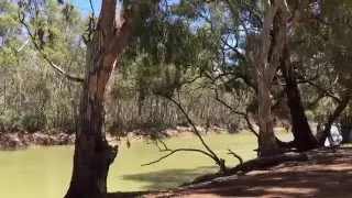 Barham Lakes Murray View Caravan Park - Barham NSW