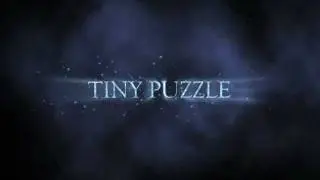 Tiny Puzzle
