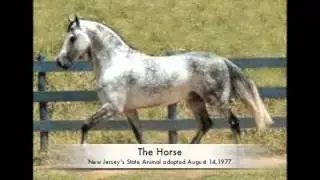 &ldquo;God Bless New Jersey&rdquo;(instrumental) A state anthem for New Jersey
