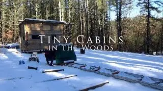 Episode 5: Milling, Frozen Logs, and Staining