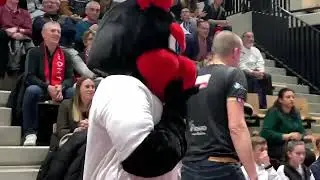 Volley-ball Ligue AM Journée 20 - Highlights : CVB52 - Nantes Rezé MV