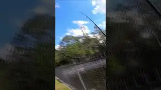 Bass Fishing Zoom Ol Monster over fence #bassfishing #bankfishing #worm