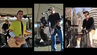 Fossil Farm - If I Needed Someone