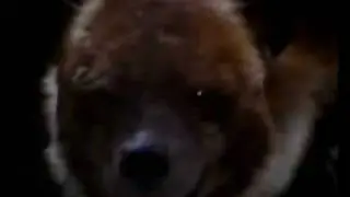Public Information Film: Crime Prevention - Hyenas [Car Lights]