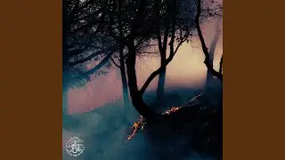 The Witch's Laugh