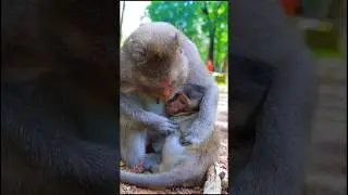 Adorable Mom Julina Nursing Baby Jeren