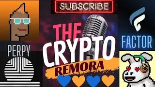 Episode 14   Factor DAO Vela DEX and Perpy Finance