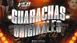 GUARACHAS ORIGINALES VOL1 - Dj Fer Ferreyra Mezclando en vivo 