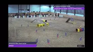 04.11.2021 Финал кубка Maxima Park Аджилити Опен / Agility Open