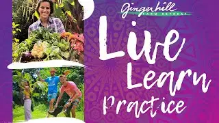 Life Changing Hawaii Internship