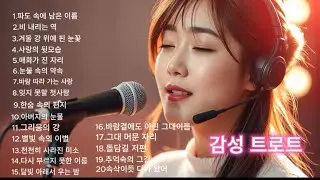 한국인의 정서 속에 흐르는 고향, 사랑, 이별,아픔, 그 모든 것을 담담히 풀어낸 감성의 울림.트로트와 국악의 만남,