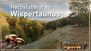 Herbstabend im Wispertaunus
