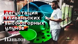 Чай из Наньтоу. Оцениваем качество тайваньских улунов.
