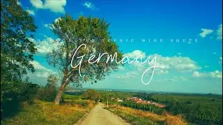 THE SCENIC WINE ROUTES, GERMANY - Cinematic Travel Video 4K I Shot on DJI Osmo Action 4