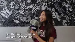 Introducing AICA 2014