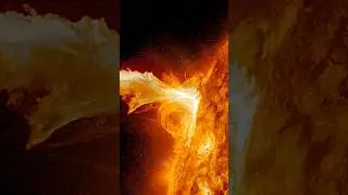 Super Active Region On The Sun In Coming #shorts #science #space #milkyway