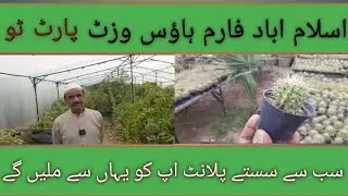 Nursery visit Islamabad Farm house | Best indoor plants very Cheap price in Islamabad Must watch