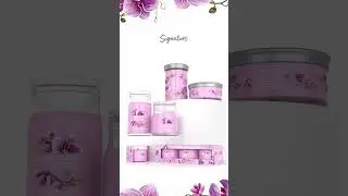 Signature Collection by Yankee Candle