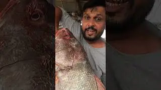 Suwa kir machli (croaker fish) ki Phechan | karachi fishing #karachifish  #fish  #pakistanifish