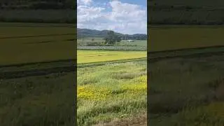 Hokkaido Countryside from the Train Window Vol.2 | JAPAN ZEN