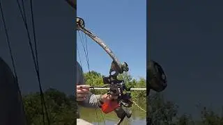 Bowfishing Basics - How to Spot Fish