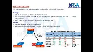 013 STP  Interfaces States