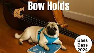 Double Bass Bow Holds Explained | French, German, Italian, Early Music, and &ldquo;The Claw&rdquo;