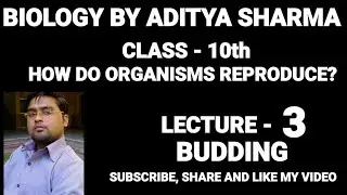 HOW DO ORGANISMS REPRODUCE CLASS 10 CBSE | BUDDING | BUDDING IN HYDRA | BUDDING YEAST | EASY NOTES |