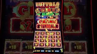 Ого!!! Я сорвал куш! 🤯🤯🤯 #слот #грандджекпот #blackoakcasino #buffaloslots